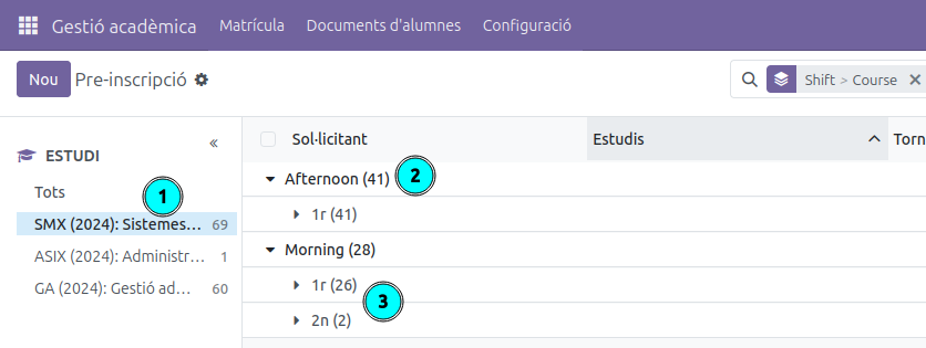 Vista de Pre-inscripció amb el panell d'estudis i l'agrupació per torn i curs